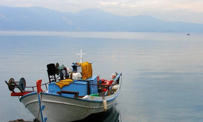 Ηλεία: Ψαράδες κοίταξαν στη θάλασσα και σοκαρίστηκαν από το θέαμα – «Νομίζαμε ότι ονειρευόμαστε» (βίντεο)